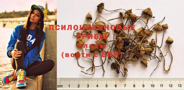MDMA Premium VHQ Лихославль