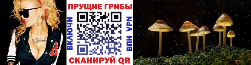 Псилоцибиновые грибы прущие грибы Новая Ляля